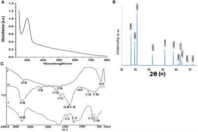 Effects of Zinc Oxide Nanoparticles Synthesized Using Aspergillus niger on Carbapenem-Resistant Klebsiella pneumonia In Vitro and In Vivo